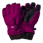 Winter & Ski gloves